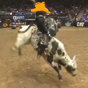 Meet your Posher, Jared